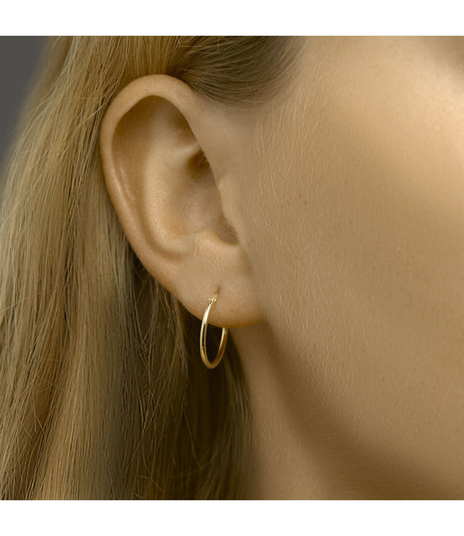 Oorringen met een ronde buis en een scharnier-sluiting