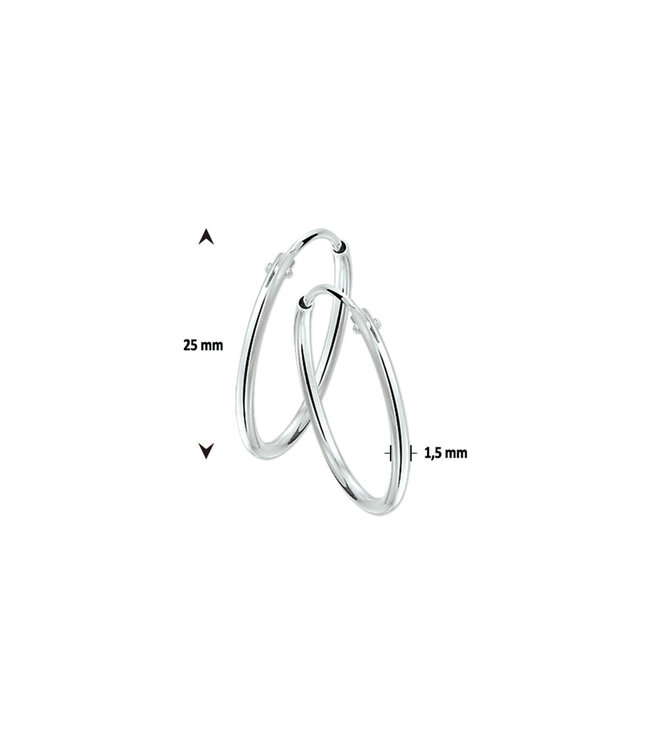 Oorringen met een ronde buis en een scharnier-sluiting