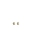 TI SENTO - Milano Earrings 7597ZY