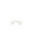 TI SENTO - Milano Earrings 7386PW