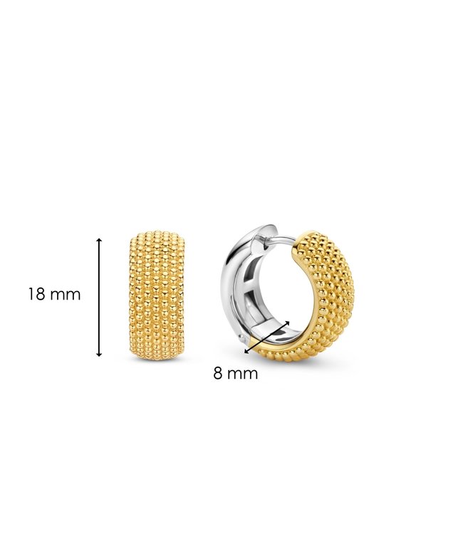 TI SENTO - Milano Earrings 7895SY