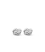 TI SENTO - Milano Earrings 7896ST