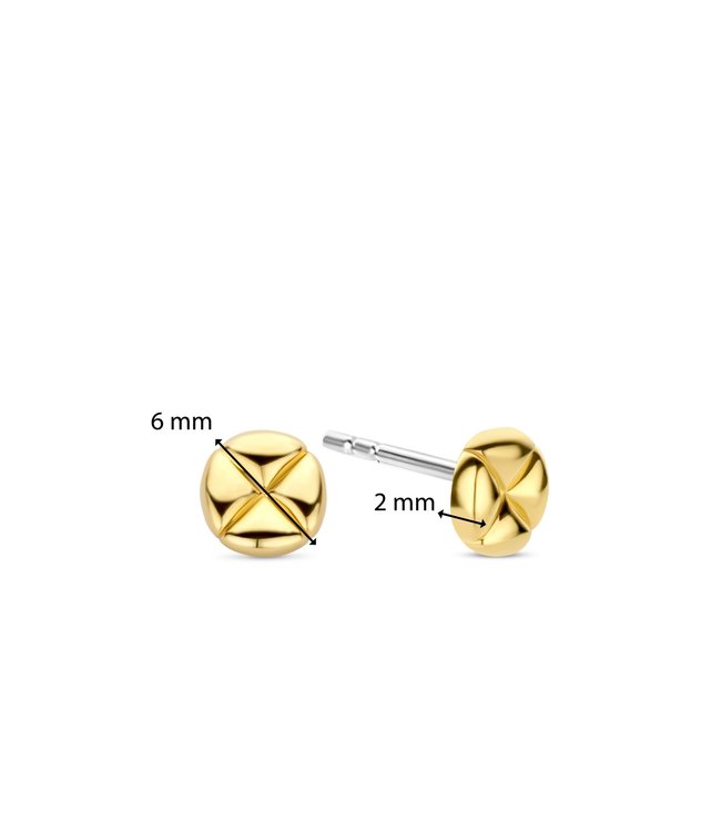 TI SENTO - Milano Earrings 7910SY