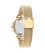 Tommy Hilfiger Horloge Dames Goudkleurig 36mm TH1782588