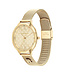 Tommy Hilfiger Uhr Damen Gold 36mm TH1782588