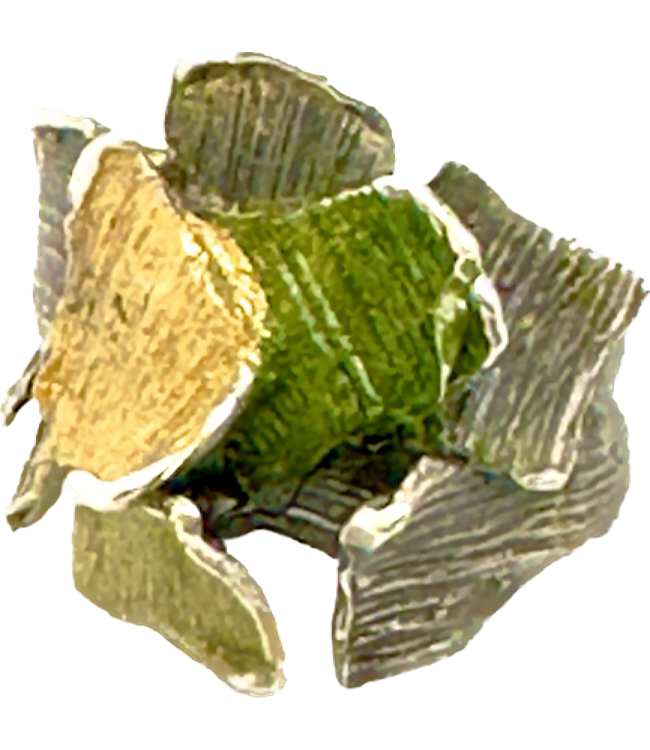 Arior Barcelona Summun Small Ring Verd Liquen