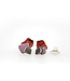 Arior Barcelona Small red Summum earrings