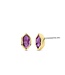 TI SENTO - Milano Earrings Silver gold plated 7944PU