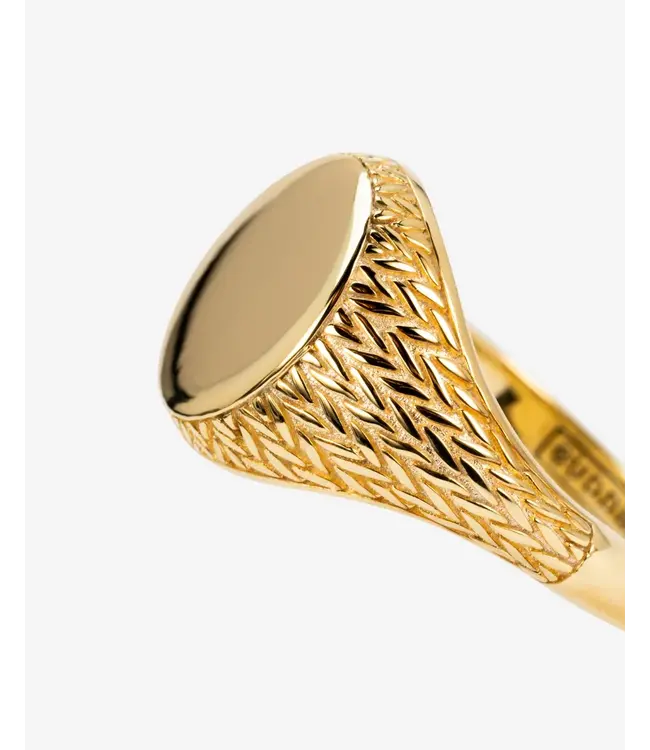 Ring Ellen Zegel Zilver