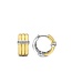 TI SENTO - Milano Oorbellen 7979ZY