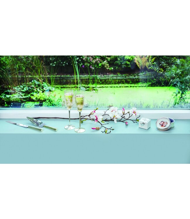 Zilverstad Champagne Glasses Smooth Set of 2 Silver Color Glass