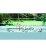Zilverstad  Champagnergläser Smooth Set von 2 Silberfarbe Glas
