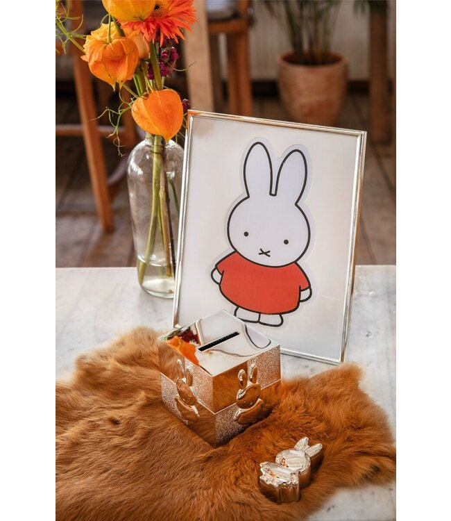 Zilverstad Sparschwein Kubus Miffy