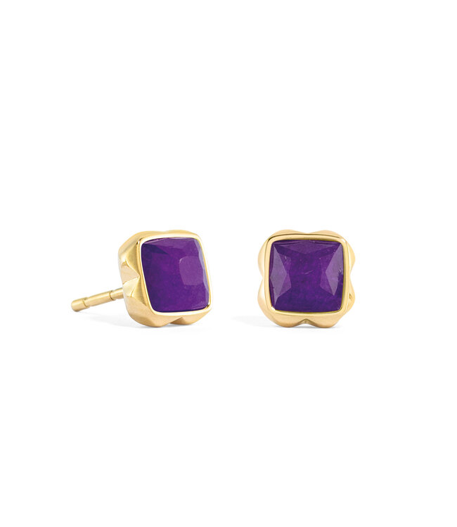 Coeur de Lion Earrings with stickpin Purple 1301/21-0800