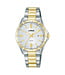 Lorus Horloge Dameshorloge RJ252BX9