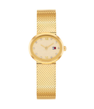 Tommy Hilfiger Moira Dames Mesh Staal Gp 25X22mm