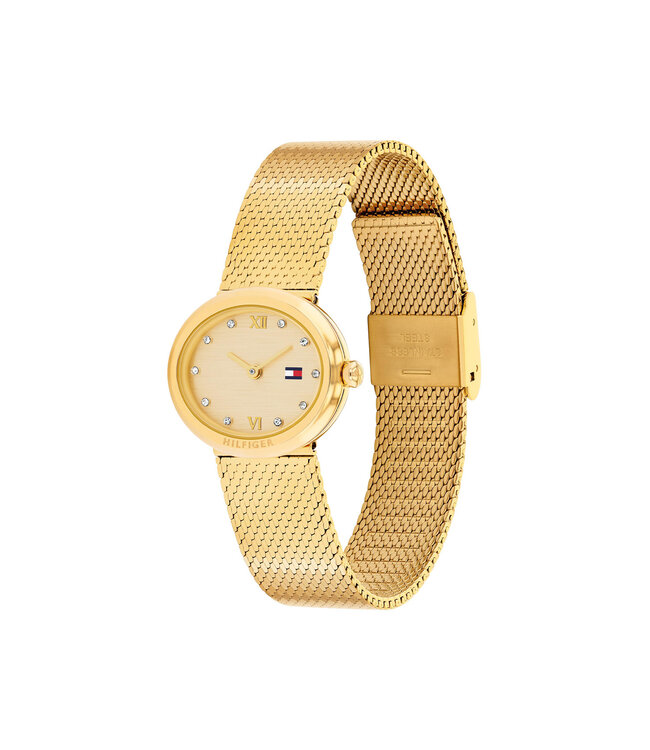 Tommy Hilfiger Moira Dames Mesh Staal Gp 25X22mm