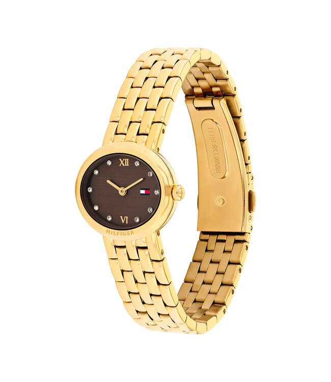 Tommy Hilfiger Moira Dames Staal Gp Bruin 25X22mm