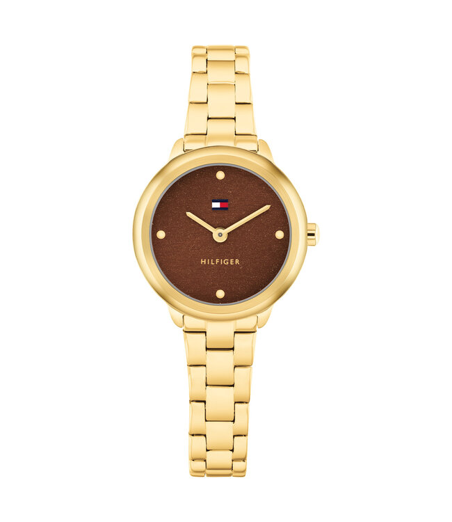 Tommy Hilfiger Demi Dames Staal Gp 26mm