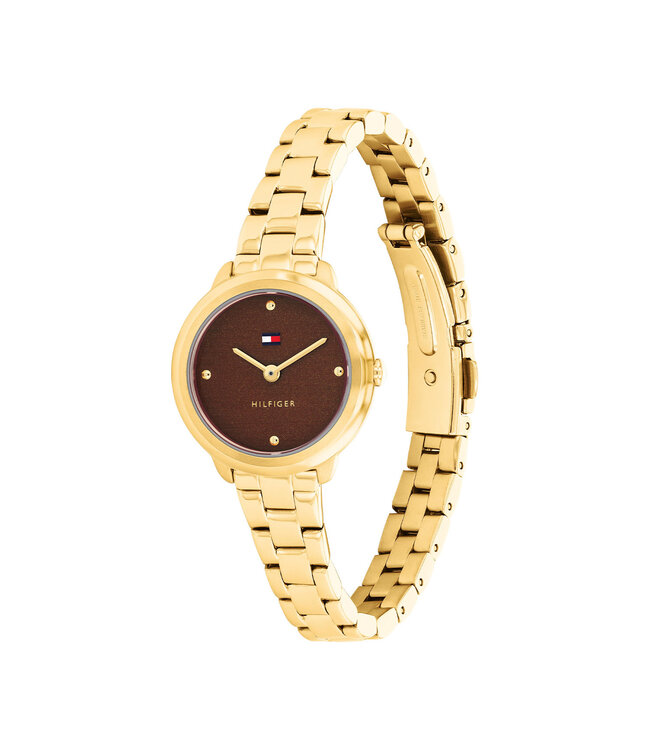 Tommy Hilfiger Demi Dames Staal Gp 26mm