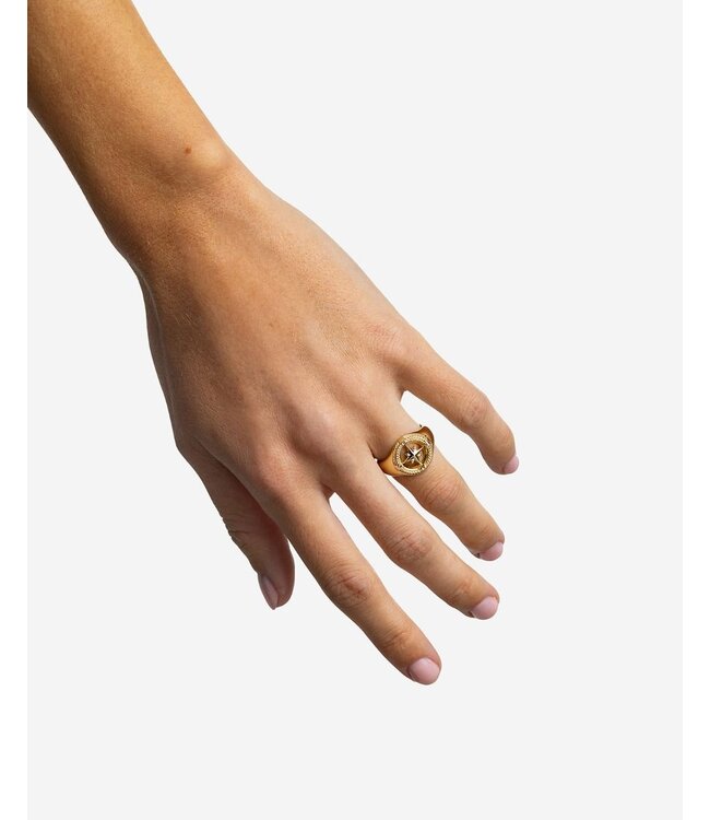 Buddha to Buddha Signet Ring Compass