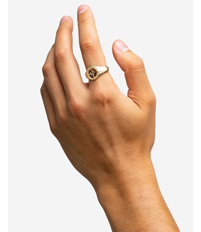 Buddha to Buddha Signet Ring Compass