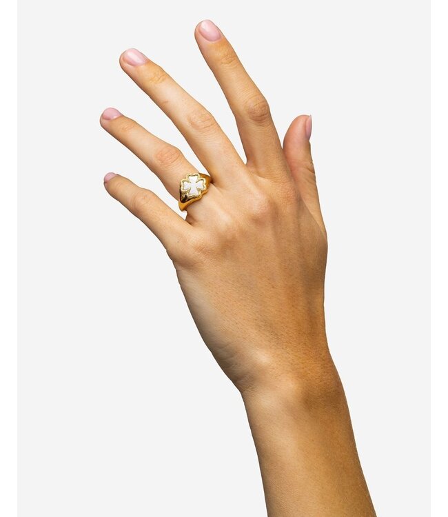 Buddha to Buddha Signet Ring Katja Clover Mother of Perle