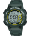 Lorus R2333PX9 Watch Men Green 42mm