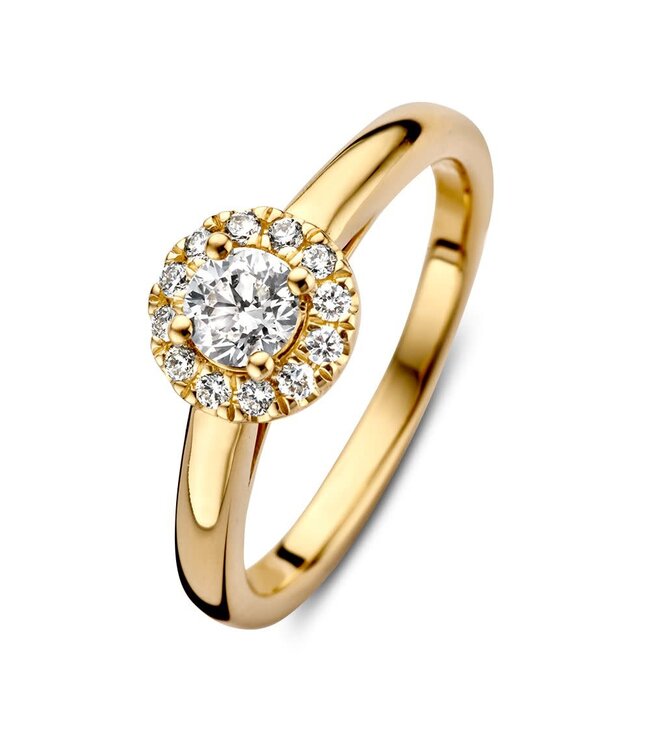 Excellent Ring gelbgold