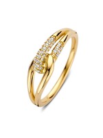 Excellent Ring geelgoud RG118105