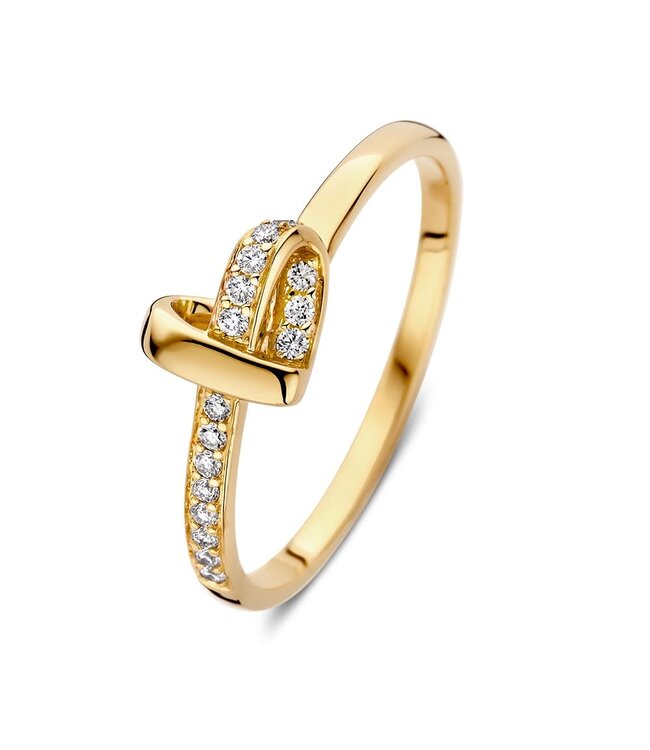 Excellent Ring geelgoud