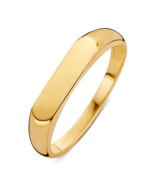 Excellent Excellent Ring RM106717