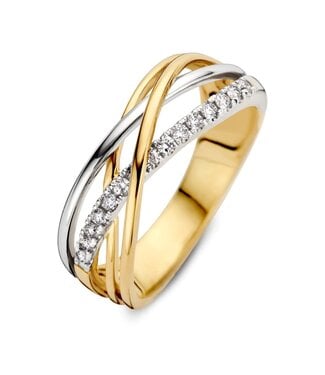 Excellent Excellent Ring bicolor RH417748