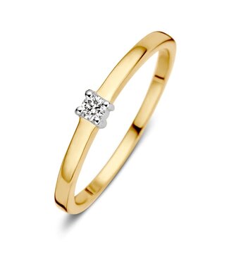 Excellent Ring two-tone