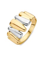 Excellent Ring bicolor RC407721