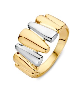 Excellent Ring two-tone