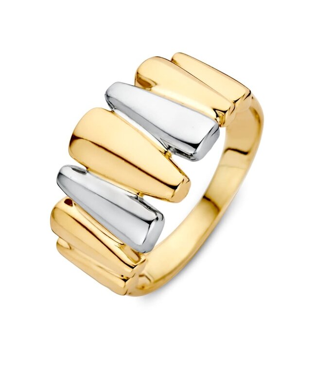 Excellent Ring bicolor