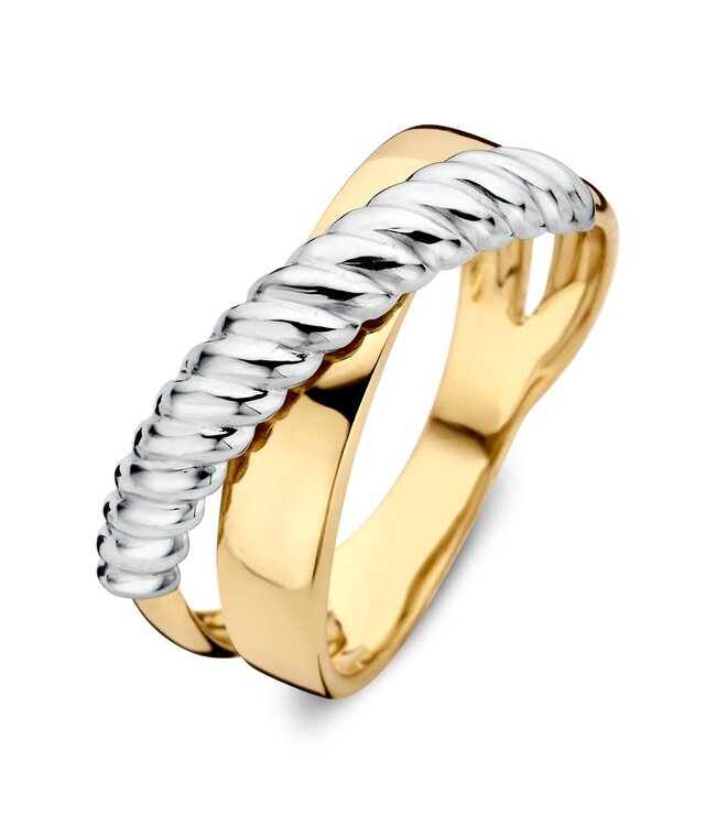 Excellent Ring bicolor