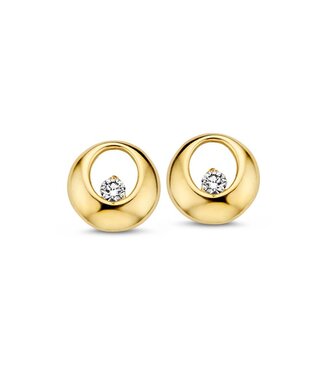 Excellent Stud Earrings yellow gold zirconia