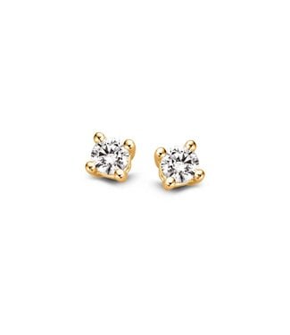 Excellent Excellent Oorstekers geelgoud OG117108