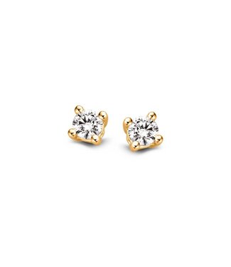 Stud Earrings yellow gold
