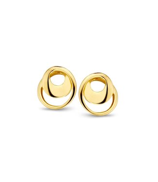 Excellent Stud Earrings