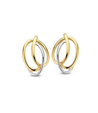 Excellent Excellent Oorstekers bicolor OB406908