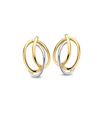 Excellent Stud Earrings two-tone