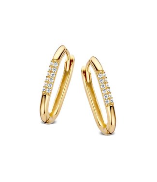 Excellent Earrings yellow gold zirconia