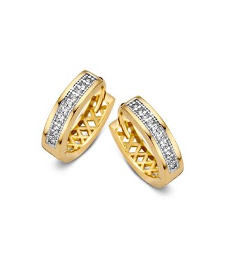 Excellent Earrings yellow gold zirconia