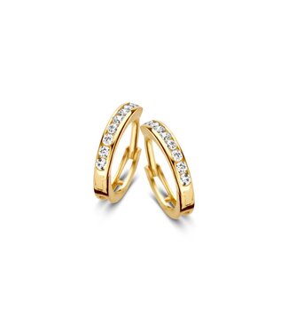 Excellent Earrings yellow gold zirconia