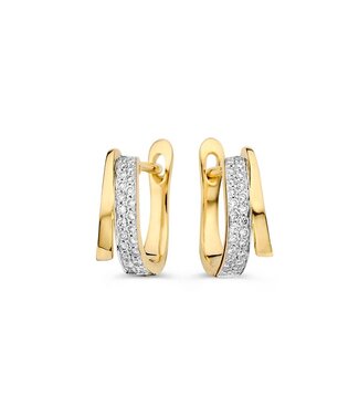 Excellent Earrings yellow gold
