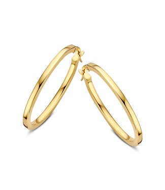 Excellent Excellent Earrings