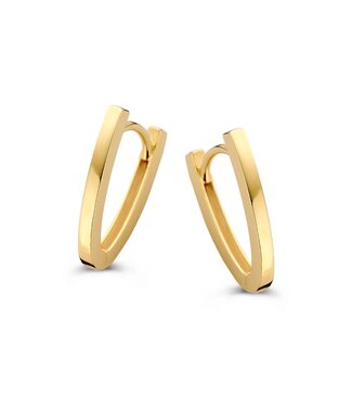 Excellent Excellent Earrings